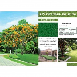 Kompozit Ürünler Çim Halı Deko 07mm Kompozit Ürünler Çim Halı Deko 07mm